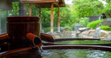 Misty Dorokawa Onsen in Nara’s mountains—a remote Japanese hot spring.