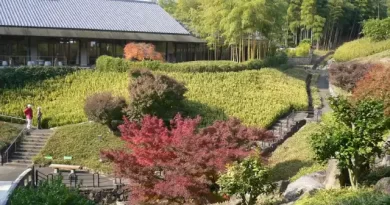 A Hidden Bamboo Paradise Near Kyoto