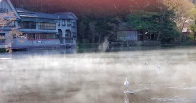 Morning mist over Lake Kinrin (金鱗湖) in Oita Prefecture, a serene hot spring lake
