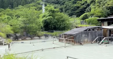 Mud bath at Beppu Onsen Hoyo Land (別府温泉保養ランド) in Oita Prefecture, a sulfur-rich onsen near Beppu