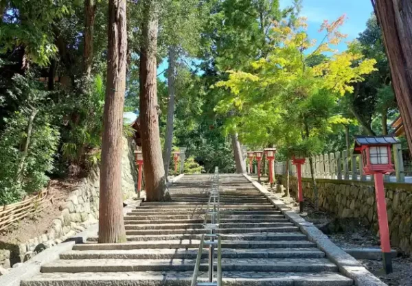 Forested hilltop view at Yoshida Jinja (吉田神社) in Kyoto Prefecture, a serene Shinto shrine