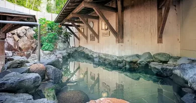 Rotenburo at Nizaemon no Yu (仁左衛門の湯) in Kyoto, a skin-soothing natural hot spring.