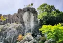 Karst landscape at Myoshoji Temple (明星輪寺) on Kinseizan (金生山) in Gifu Prefecture, a serene Buddhist shrine