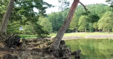 Jodo garden pond at Motsuji Temple (毛越寺) in Iwate Prefecture, a serene UNESCO World Heritage site