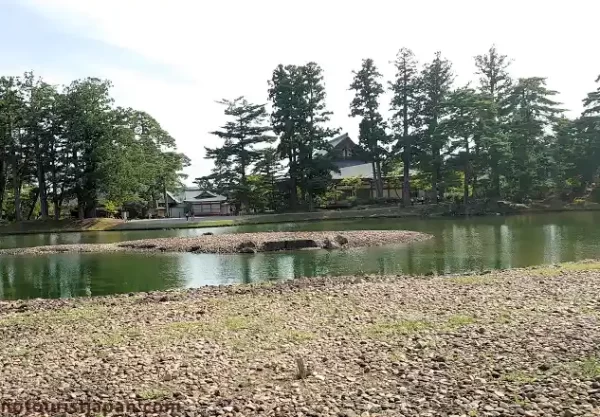 Jodo garden pond at Motsuji Temple (毛越寺) in Iwate Prefecture, a serene UNESCO World Heritage site