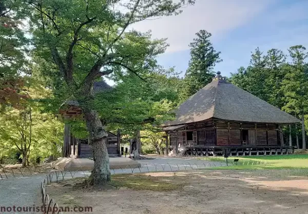 Jodo garden pond at Motsuji Temple (毛越寺) in Iwate Prefecture, a serene UNESCO World Heritage site